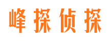 漳平市调查公司